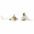 Мини Цветни Камбанки Кокичета Mini Flower Bells 2 части Мини Цветни Камбанки Кокичета Mini Flower Bells 2 части